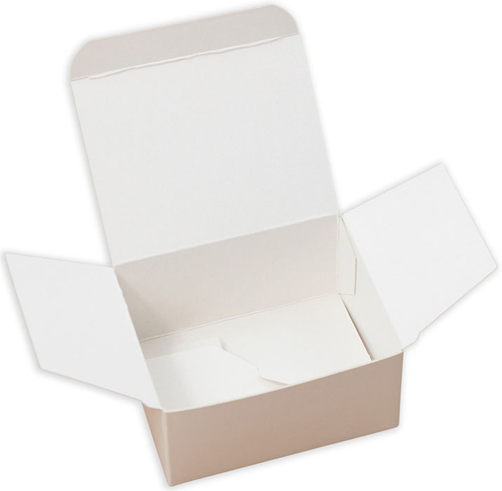 Faltschachtel Verpackung Innenansicht mit Einstecklaschen aus Karton